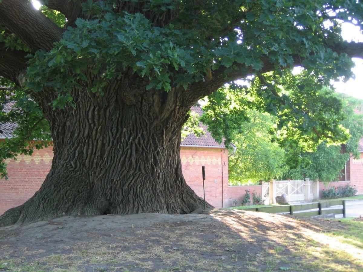 Hof Grafeneiche Otel Asel Dış mekan fotoğraf